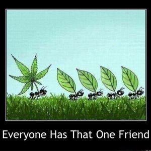 Meet your Posher, Eladio